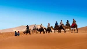 Marrakech to Zagora 2-Day Desert Tour Itinerary