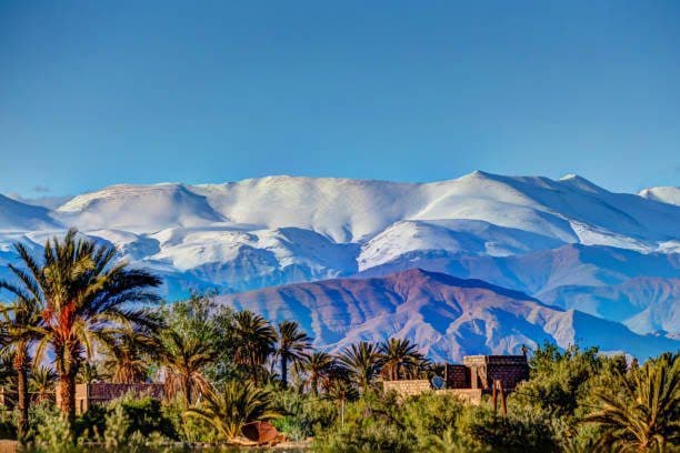 Snow on the High Atlas above a palm grove