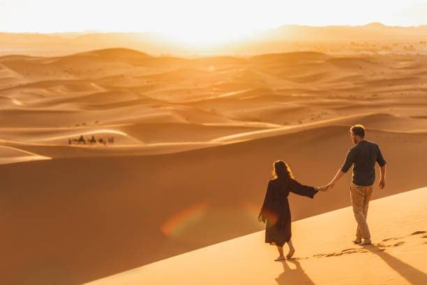 7 Days Morocco Atlas and desert Birding Tour