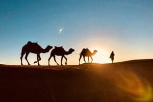 Morocco 2 week itinerary from Casablanca, merzouga desert sunrize