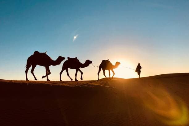Private Morocco Tours