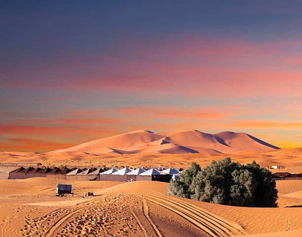 Tented desert camp below the dunes at sunset
