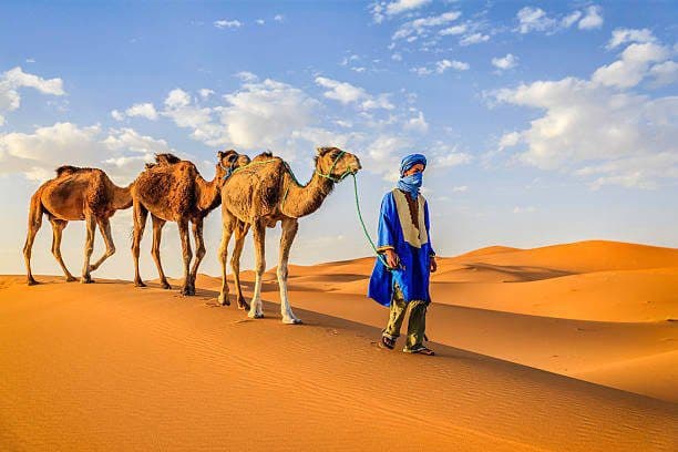 Marrakech to Fes Desert Tour, 7 Days: One Week in Morocco