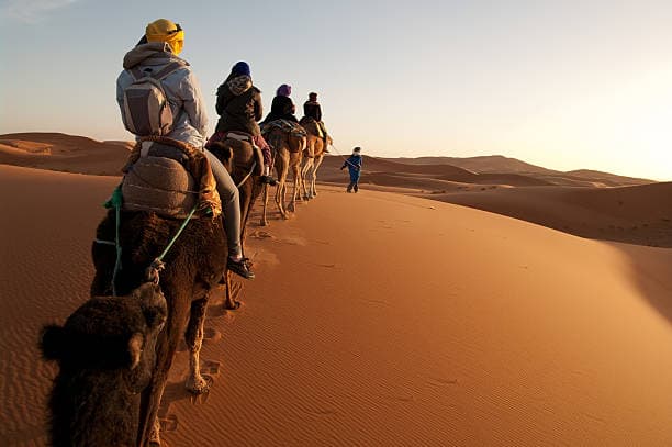 Camel caravan crossing the dunes at sunset