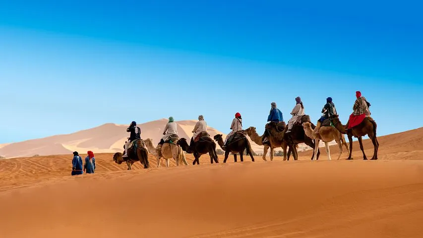 Camel caravan crossing the dunes on a desert trip from Marrakech