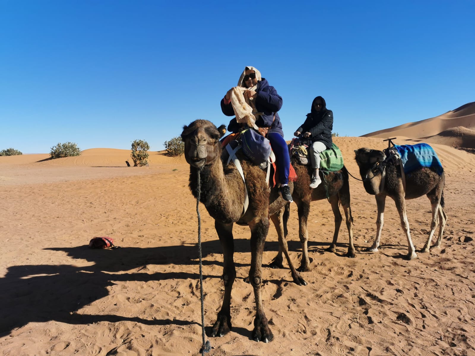 Camel ride into the Erg Chebbi dunes at Merzouga